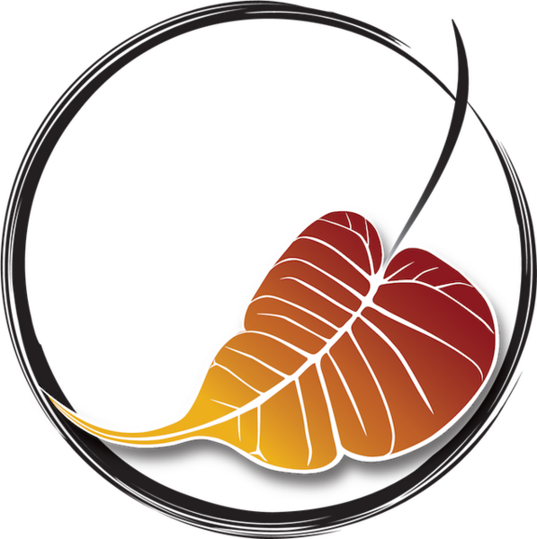 Bodhi Chiropractic