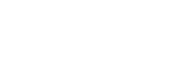 Strive Performance and Mobility