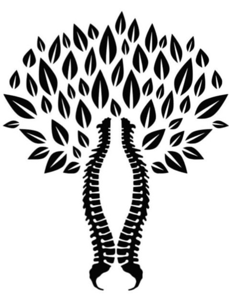 Journal Square Spine & Wellness Center