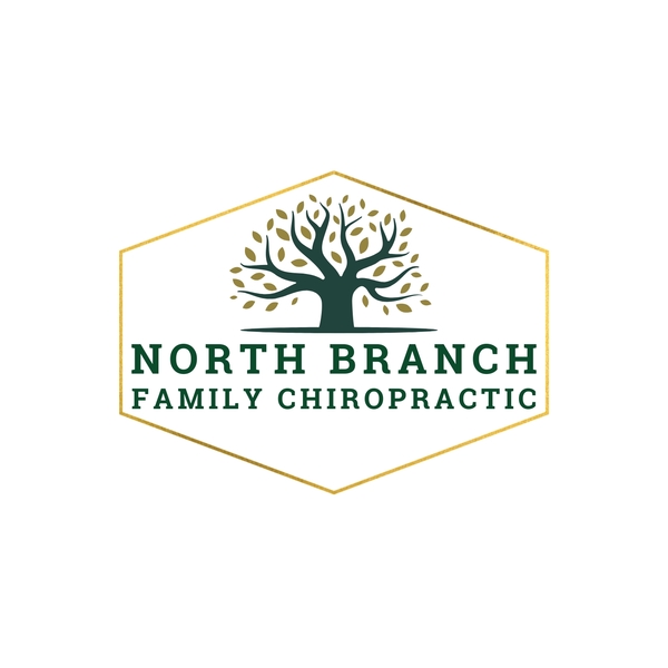North Branch Family Chiropractic
